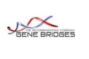 Gene Bridges