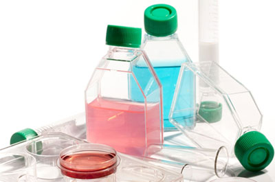 Science Equipment