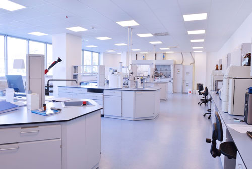 lab